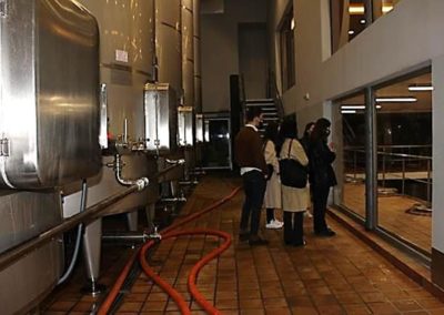 Otro grupo de alumnos de MASCOMEX recibiendo explicaciones en la sala de fermentación, junto a los tanques de acero inoxidable donde se elabora el vino